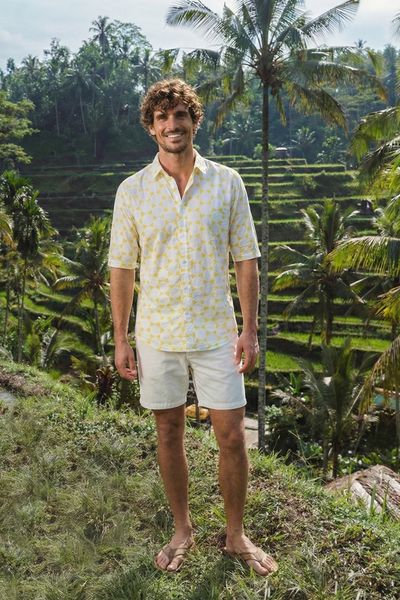 SF2082A33-V04_C1537-1